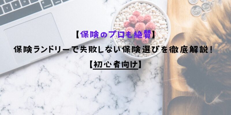 【保険のプロも絶賛】保険ランドリーで失敗しない保険選びを徹底解説！【初心者向け】