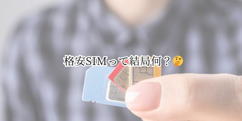 格安SIMって結局何？